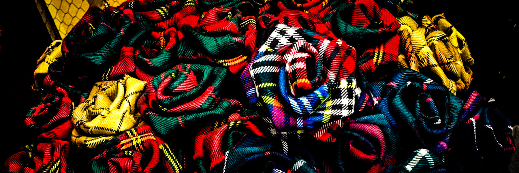 Tartan Roses at Harris Kilt Company