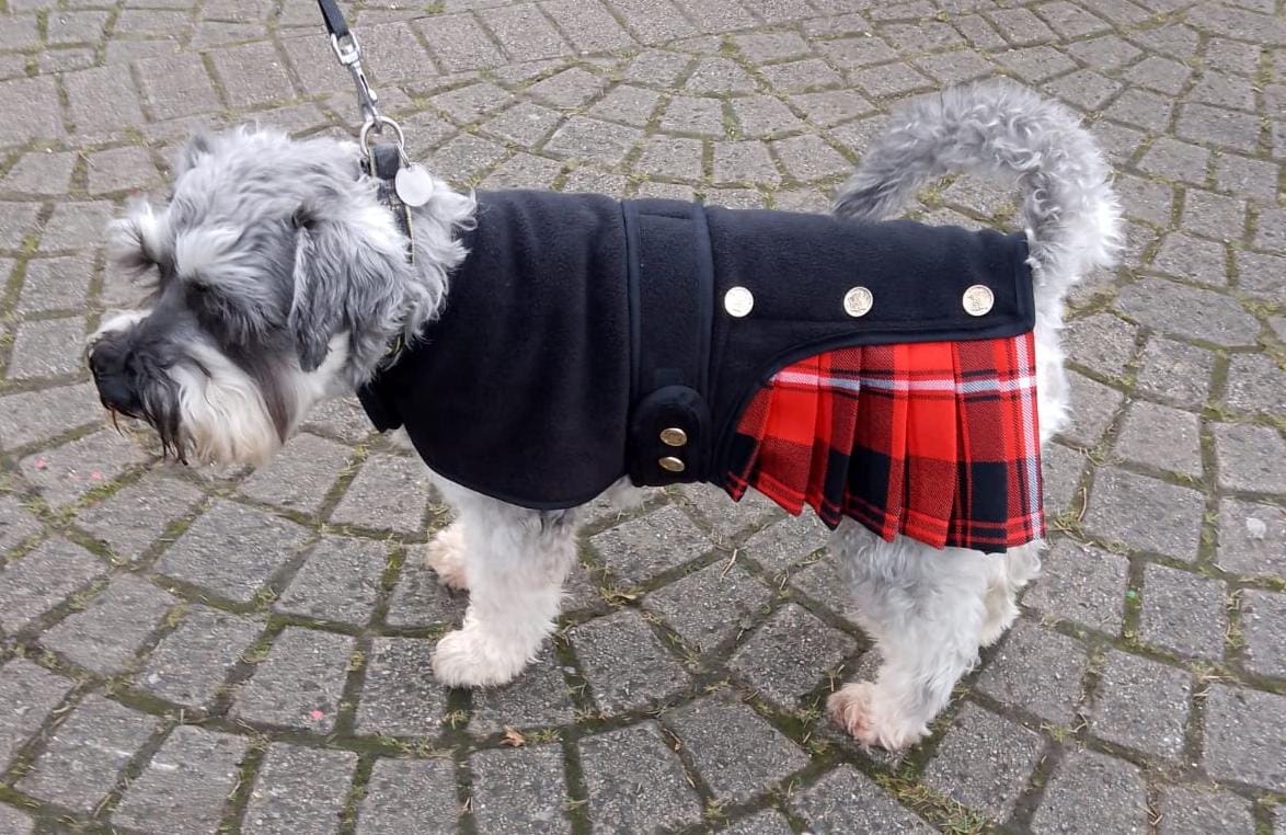 Jacket Kilted Dog Coat