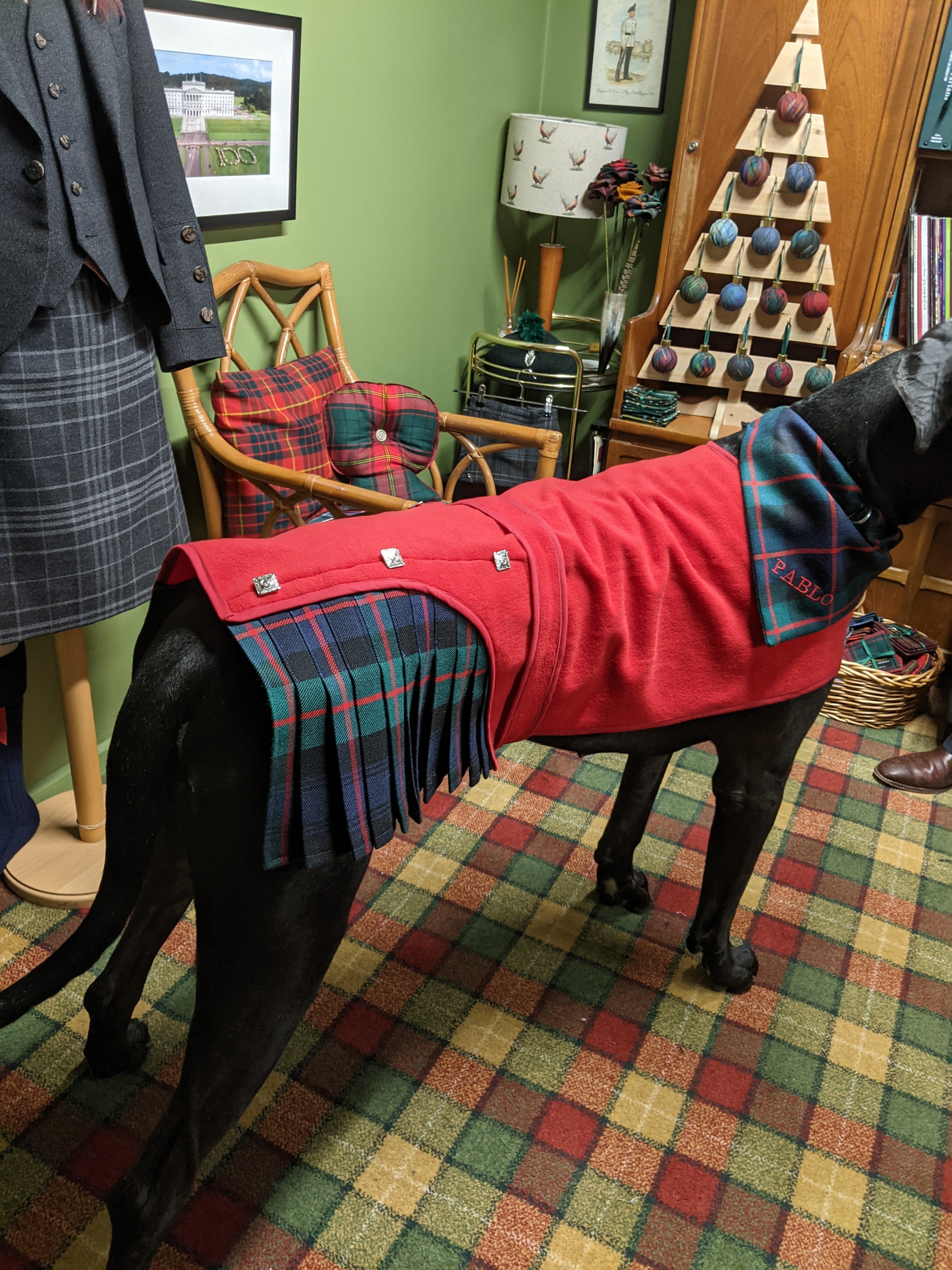 Jacket Kilted Dog Coat