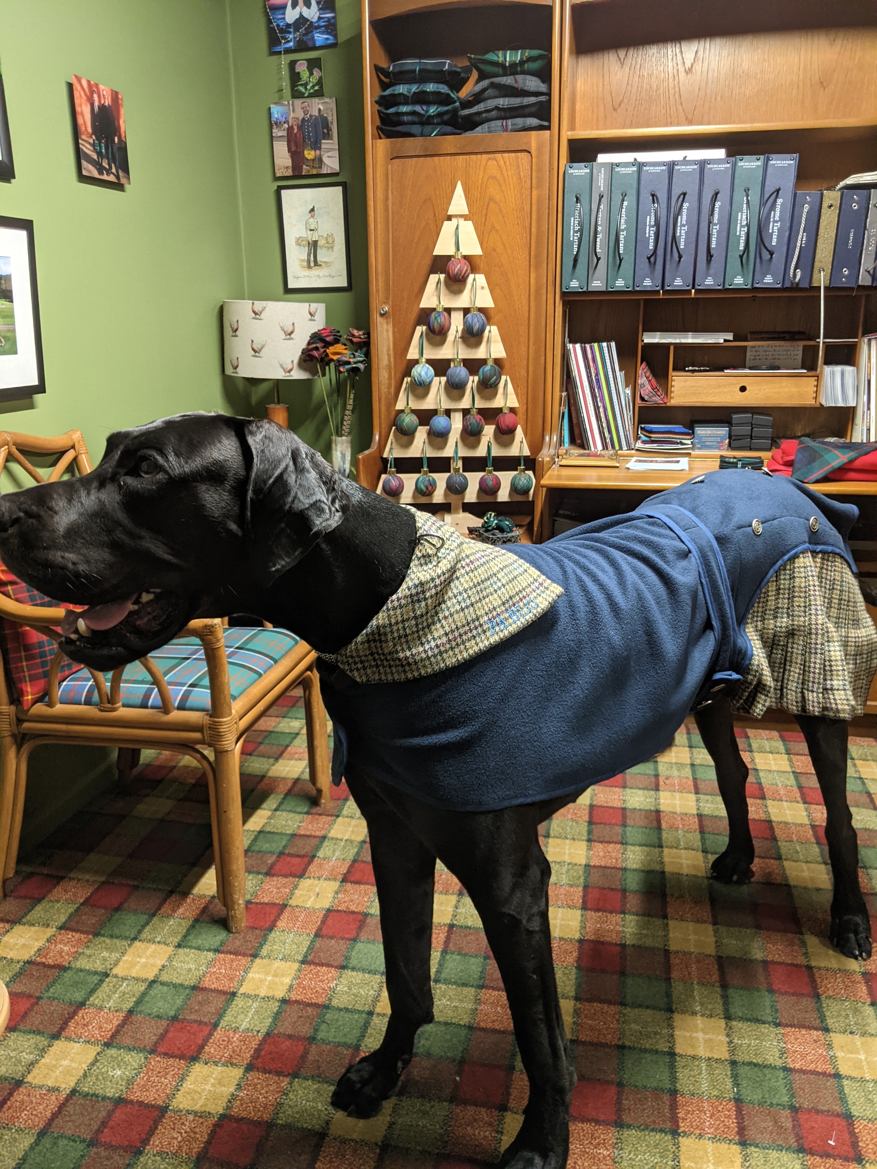 Jacket Kilted Dog Coat