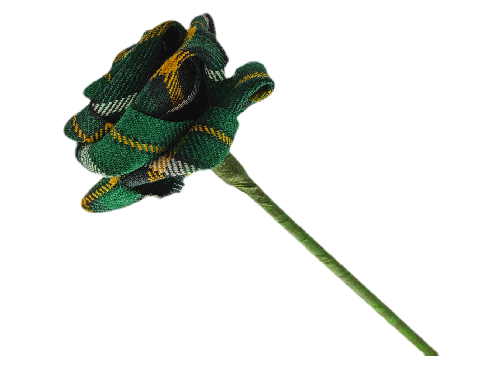 Irish National Tartan Rose