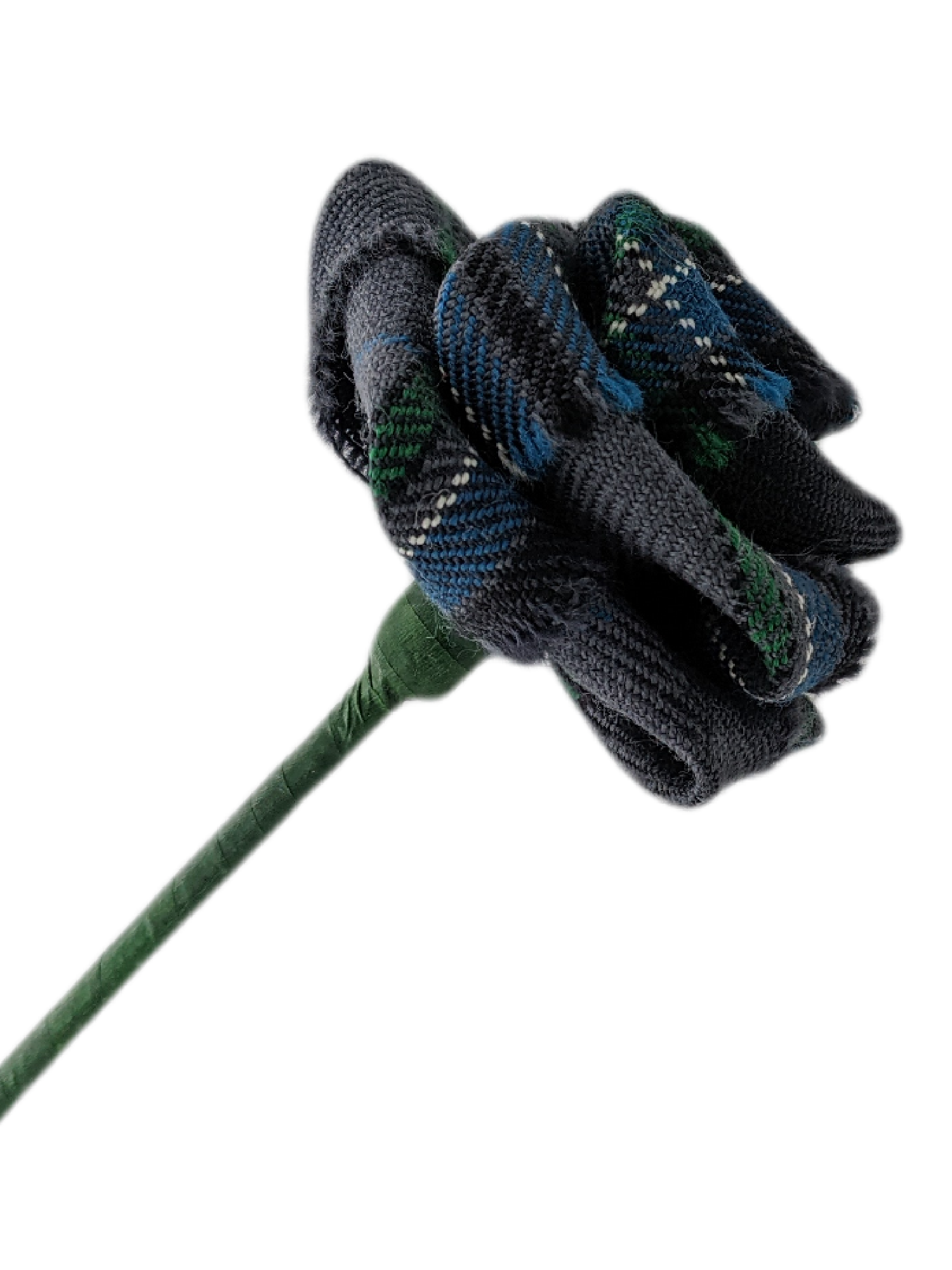 Giant's Causeway Tartan Rose