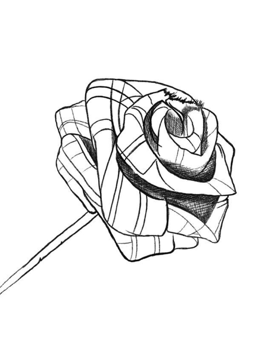 Tartan Rose (500 Tartans)