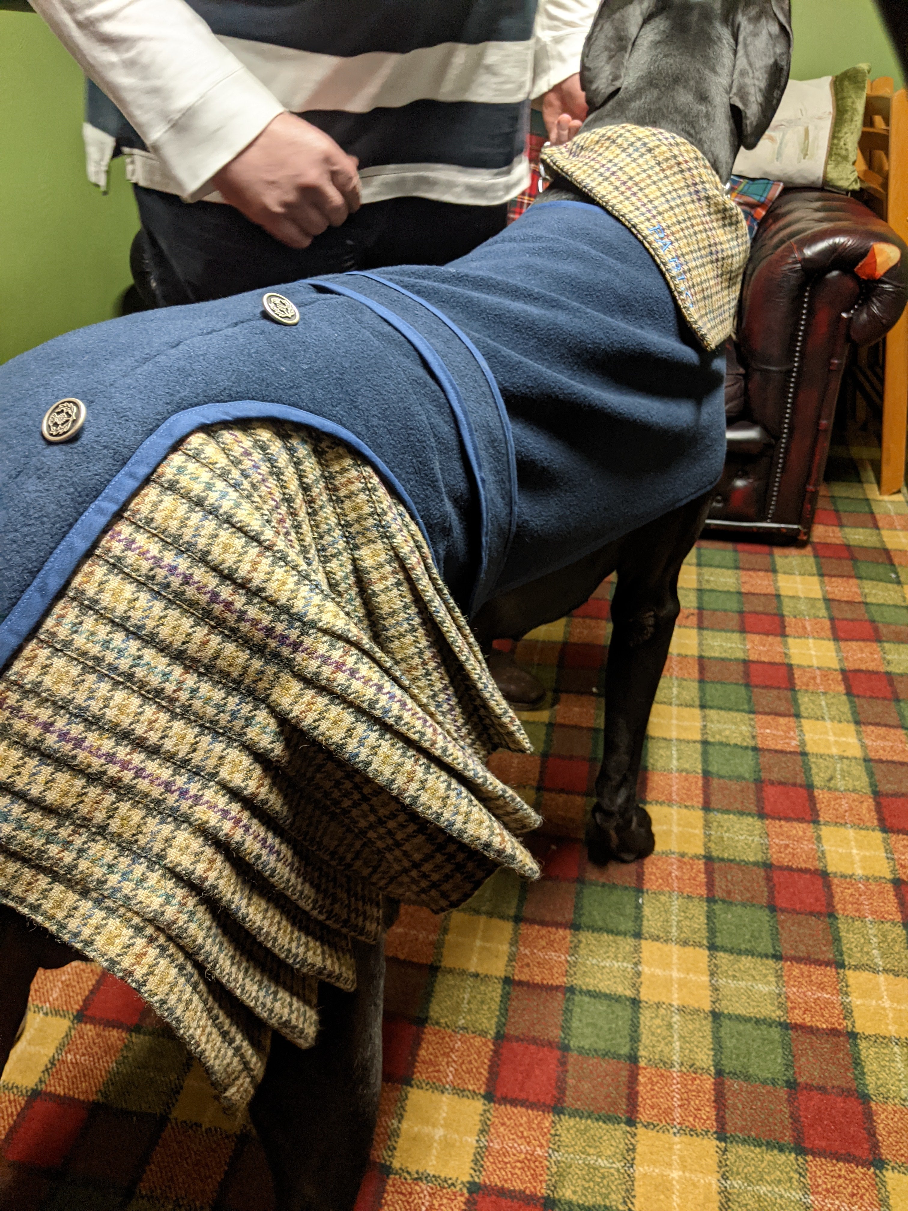 Jacket Kilted Dog Coat